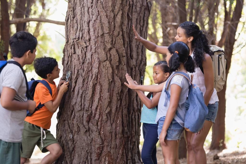 teacher-and-children-touching-tree-trunk-in-forest-2021-08-28-17-23-27-utc