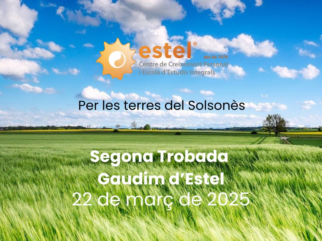 Gaudim Estel, camps cereals, natura, cel balu