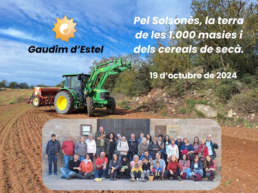 Tardor, cereals, tractor, natrua, gent